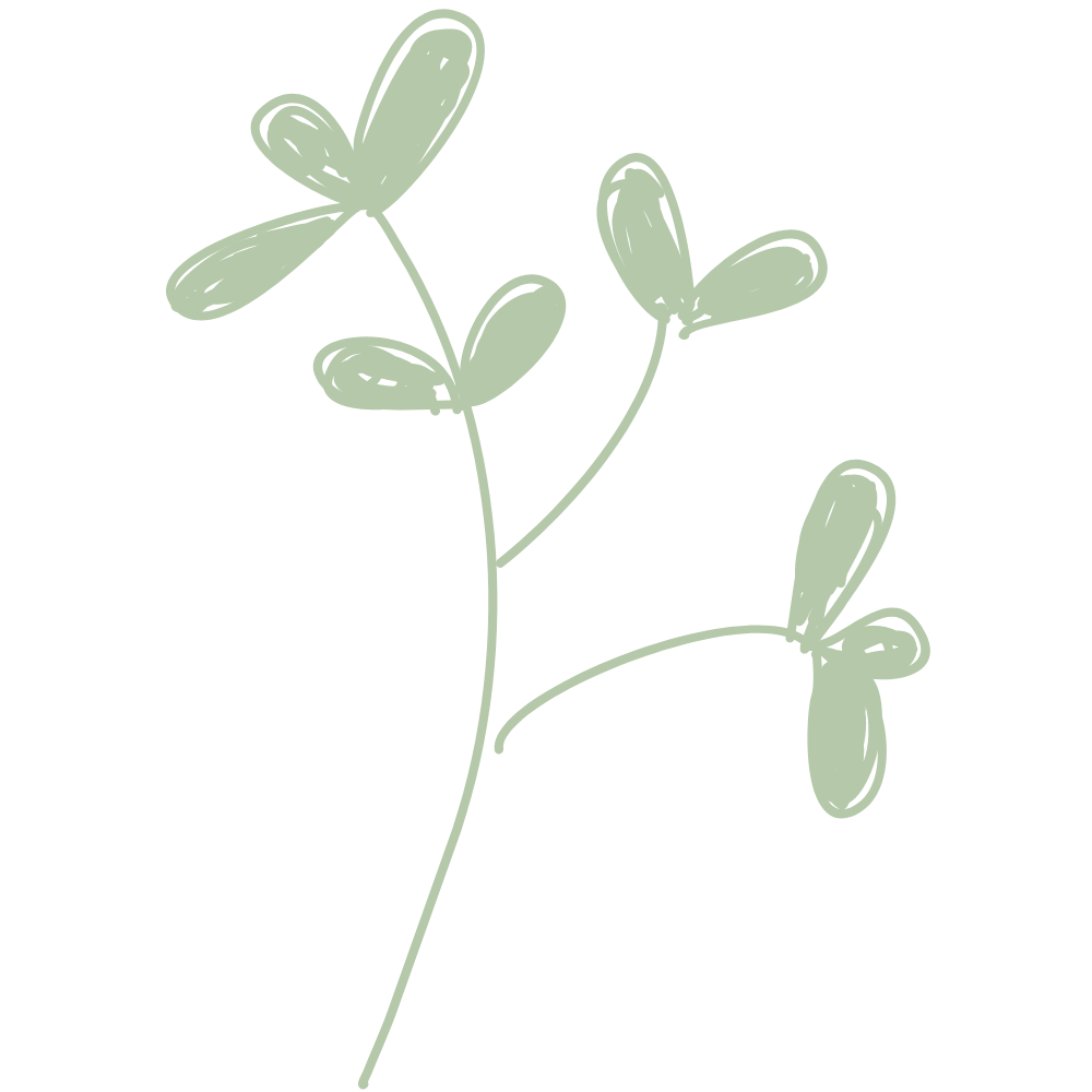 flowers | self-care practices | theselfandsoul.com